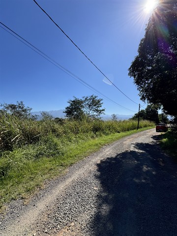 Terreno à Venda